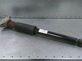 Rear shock absorber/damper