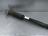 Rear shock absorber/damper