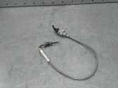 Sensor / Fühler / Geber