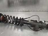 Rear shock absorber/damper