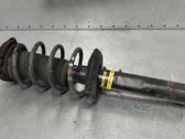 Front shock absorber/damper