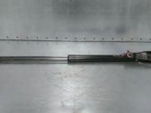 Tailgate/trunk strut/damper