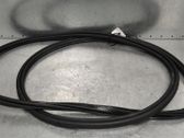 Front door rubber seal