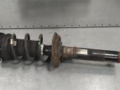 Front shock absorber/damper