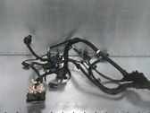 Other wiring loom
