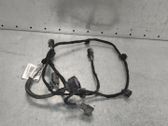 Parking sensor (PDC) wiring loom