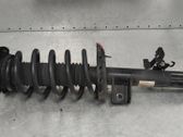 Front shock absorber/damper