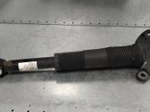 Rear shock absorber/damper