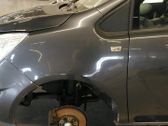 Fender