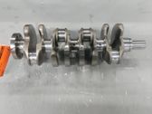 Vilebrequin du moteur