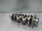 Vilebrequin du moteur