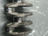 Vilebrequin du moteur
