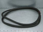 Front door rubber seal