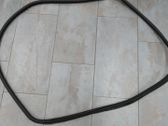 Front door rubber seal