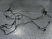 Parking sensor (PDC) wiring loom