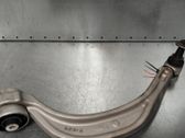 Front lower control arm/wishbone