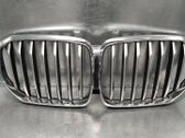 Front bumper upper radiator grill