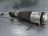Front shock absorber/damper