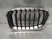 Front bumper upper radiator grill