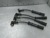 Ignition plug leads