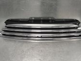 Front bumper upper radiator grill