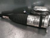 Rear shock absorber/damper