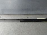 Tailgate/trunk strut/damper