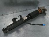 Rear shock absorber/damper