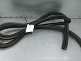 Front door rubber seal