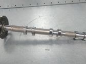 Nockenwelle