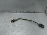 Lambda-anturi