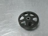 Water pump pulley