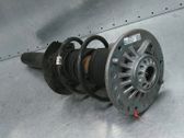 Front shock absorber/damper