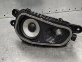 Front door speaker
