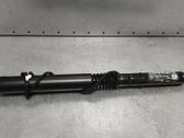 Tailgate/trunk strut/damper