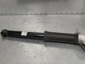 Stoßdämpfer hinten