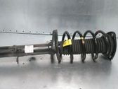 Front shock absorber/damper