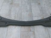Moldura del limpia