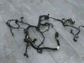 Other wiring loom