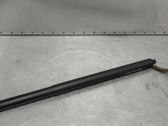 Tailgate/trunk strut/damper