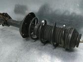 Front shock absorber/damper