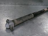 Stoßdämpfer hinten