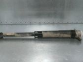 Stoßdämpfer hinten