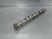 Nockenwelle