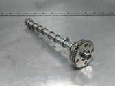 Nockenwelle