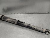 Rear shock absorber/damper