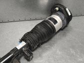 Front shock absorber/damper