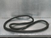 Gummidichtung Tür hinten