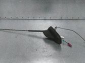 Radion antenni