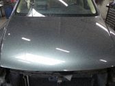 Motorhaube